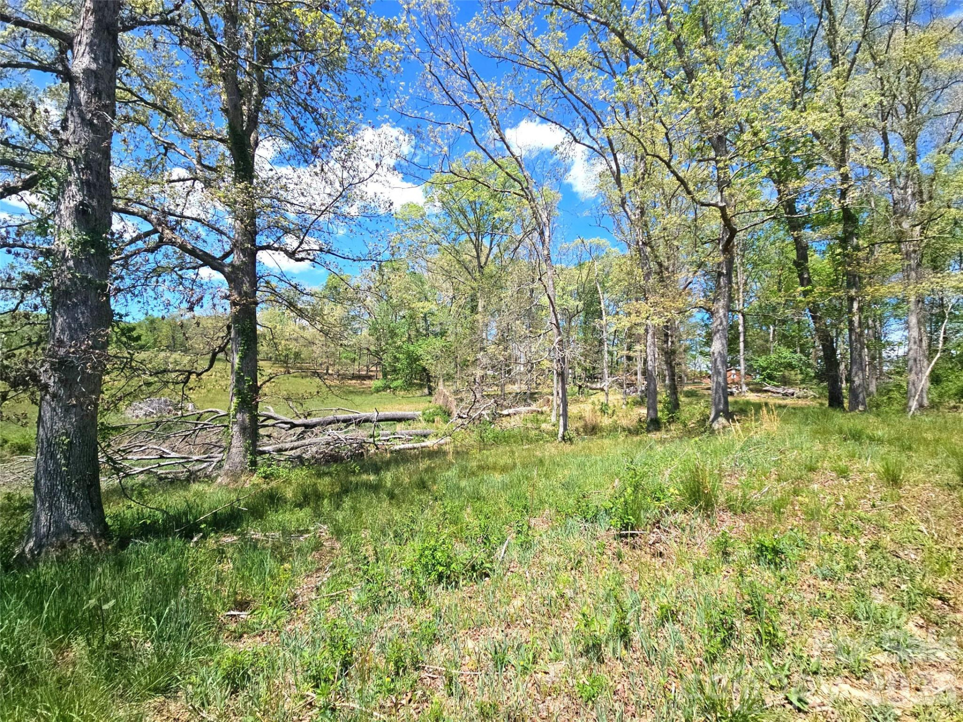 285 Mount Gilead Church Road - Photo 41