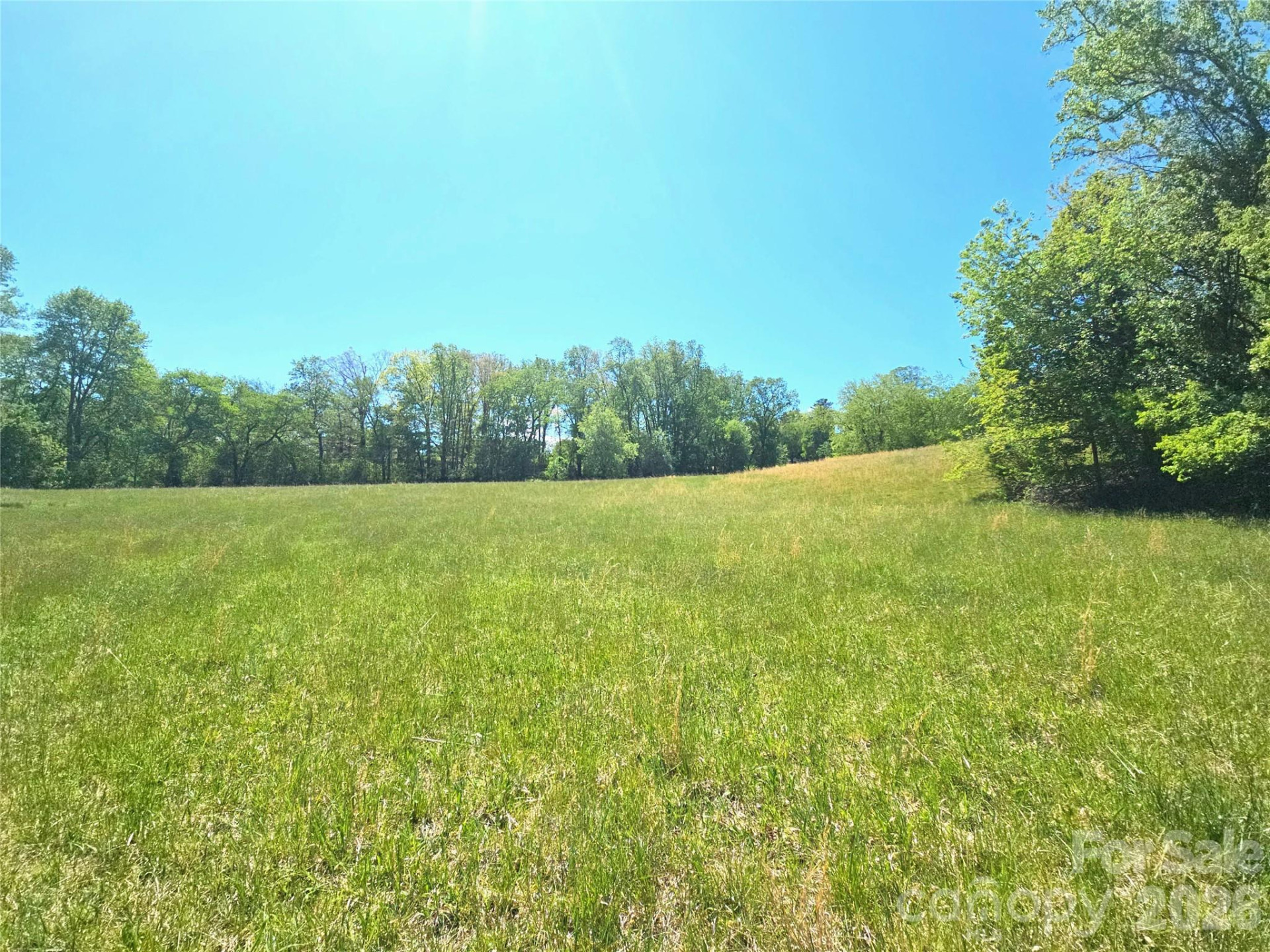 285 Mount Gilead Church Road - Photo 7