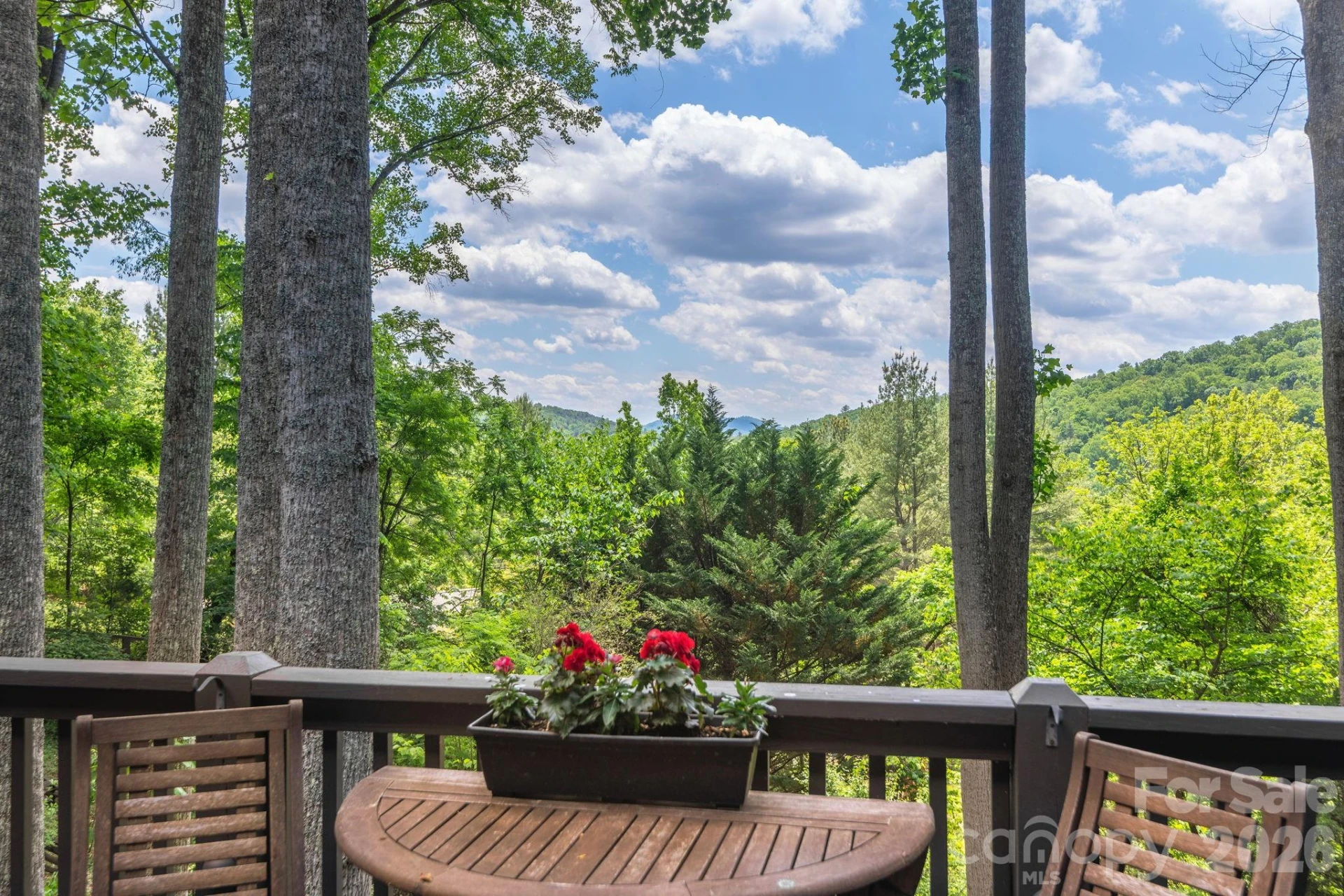 107 Buffalo Trail - Photo 12