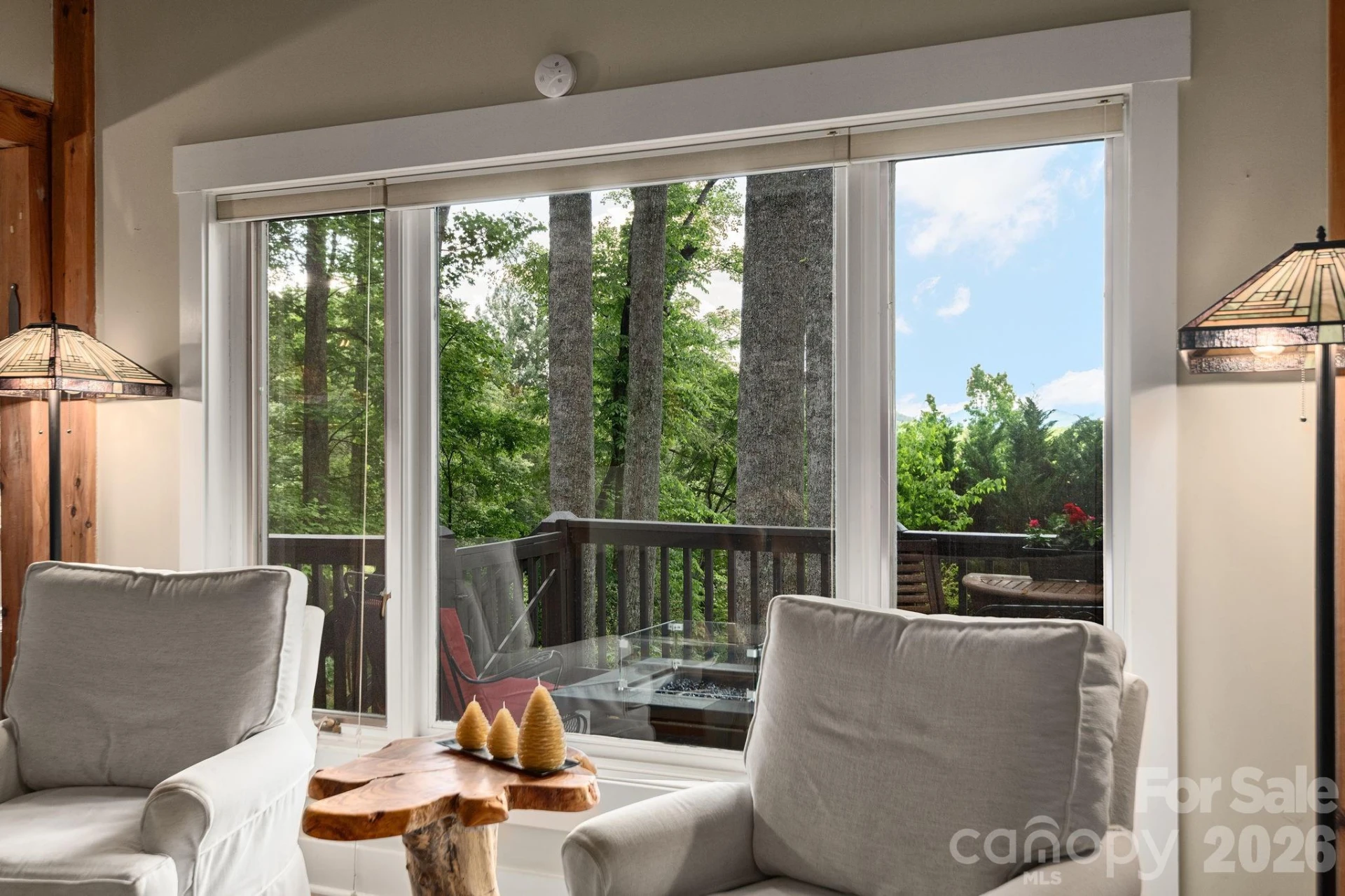 107 Buffalo Trail - Photo 8