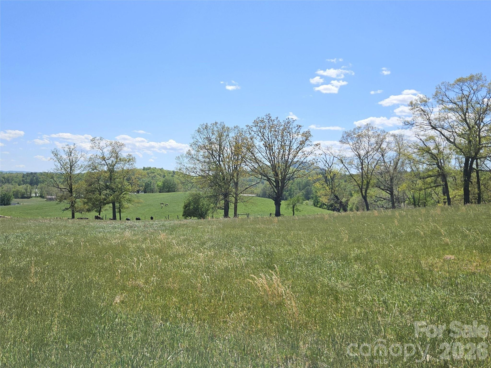 154 High Pasture Trail - Photo 26