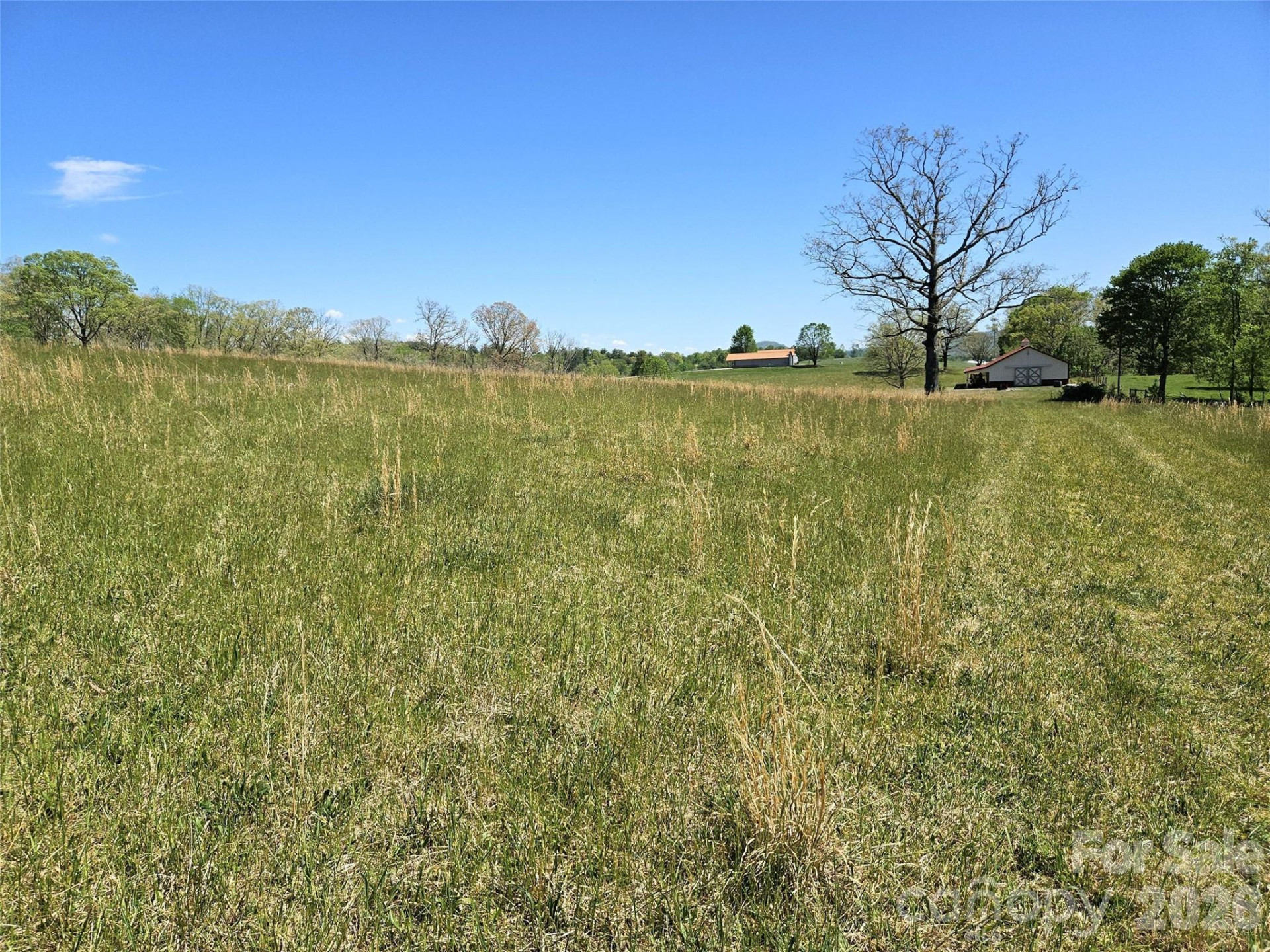 154 High Pasture Trail - Photo 36