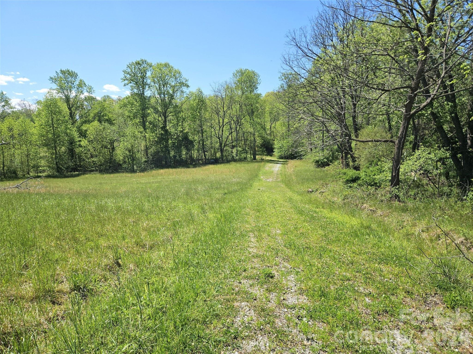 154 High Pasture Trail - Photo 37