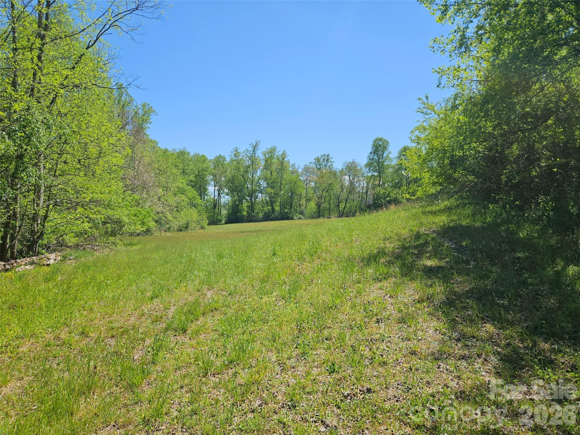 154 High Pasture Trail - Photo 38