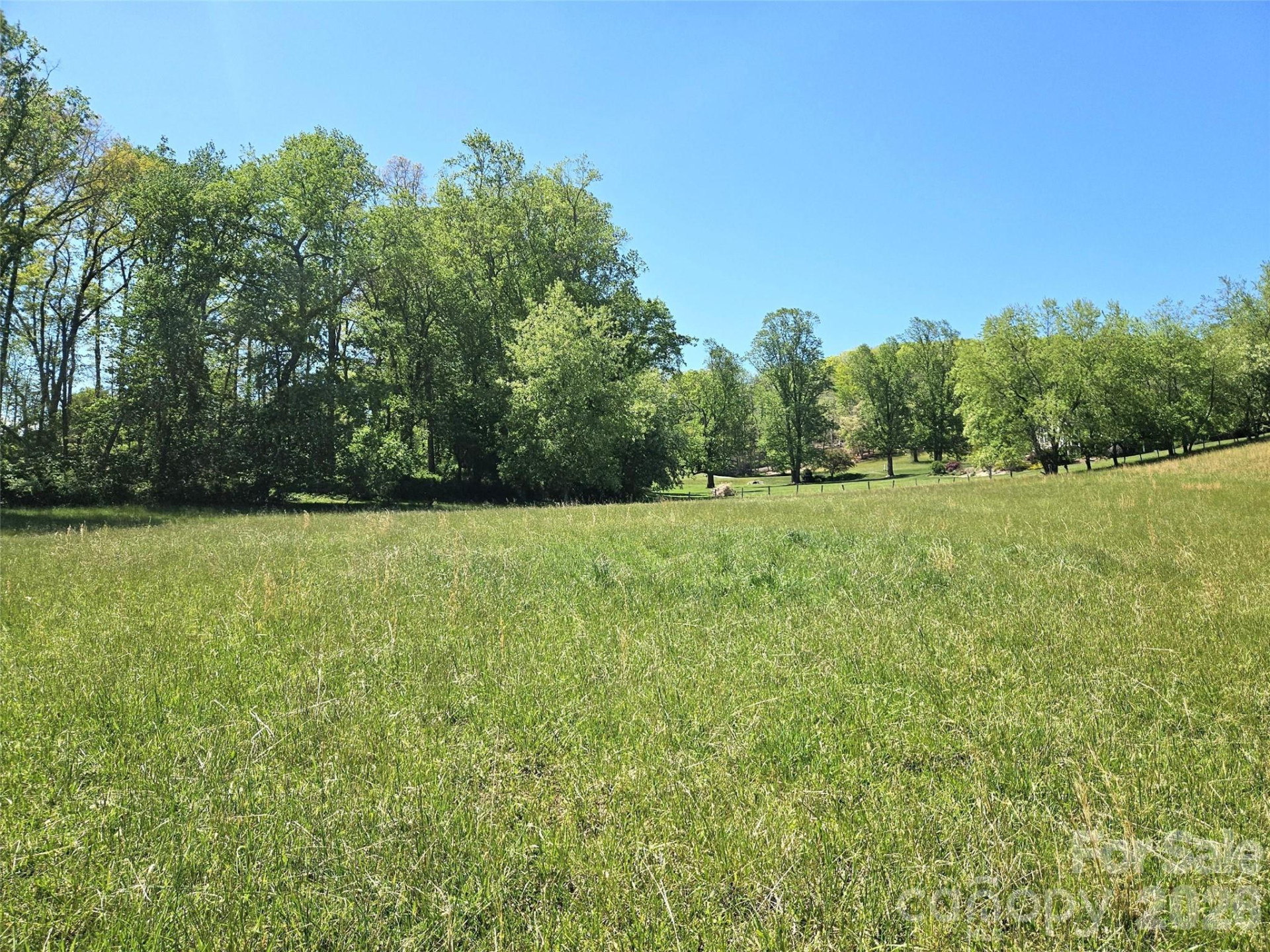 154 High Pasture Trail - Photo 43