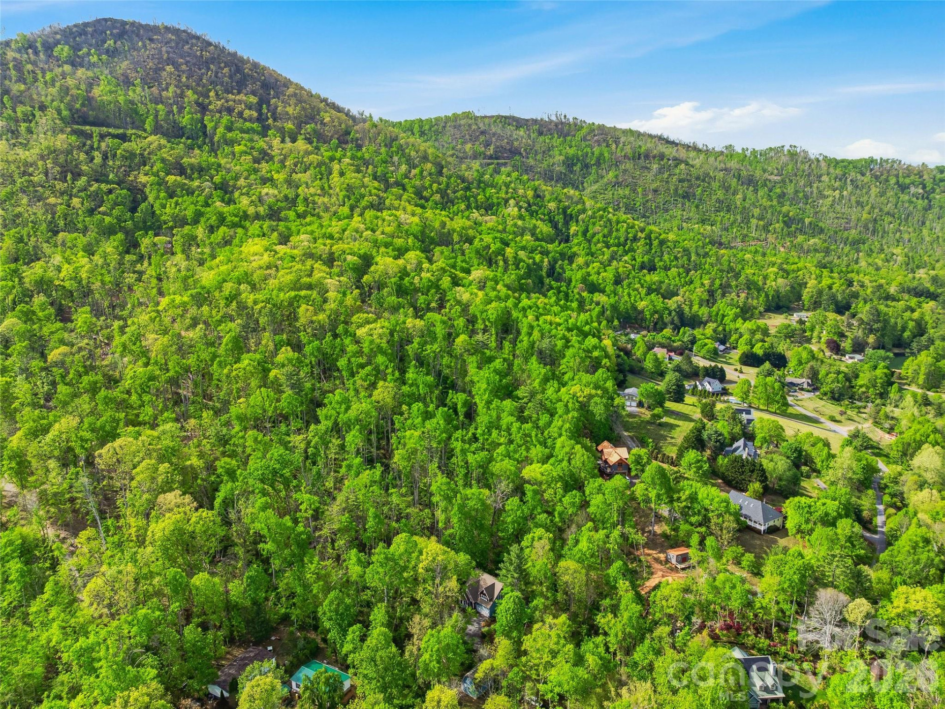 17 Bohemian Lane - Photo 3