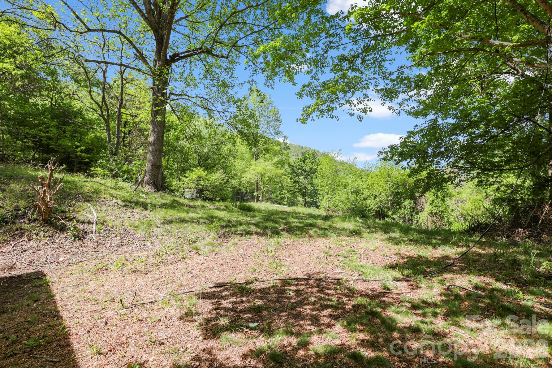 1007 Fork Road - Photo 5