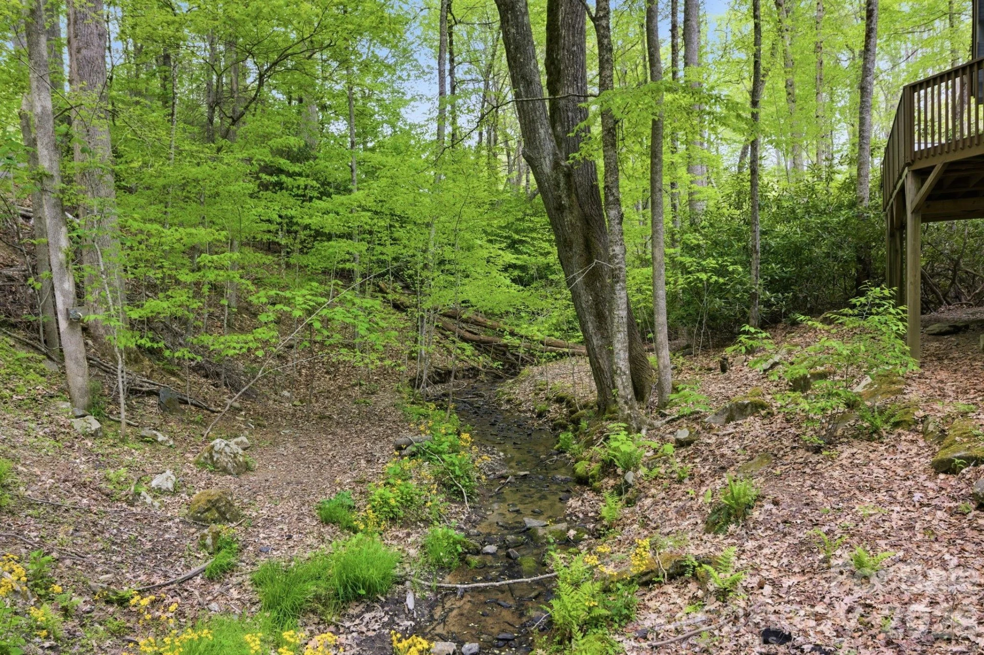 401 Saratoga None - Photo 26