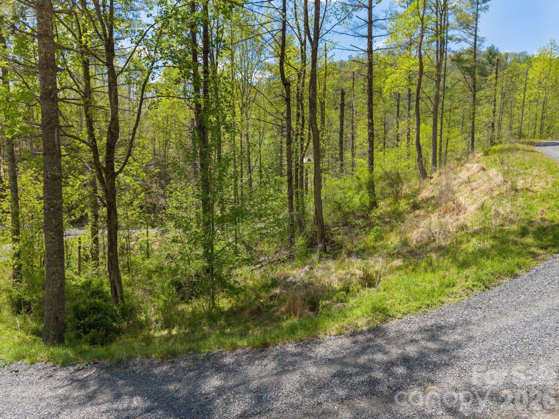 0000 Mountain Crest Drive #18 - Photo 5