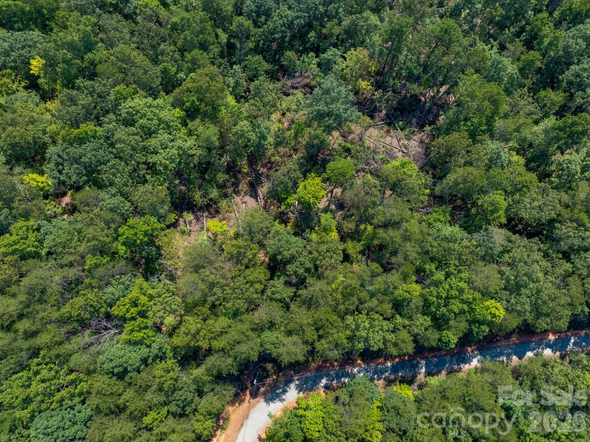 0 Calhoun Trail - Photo 11