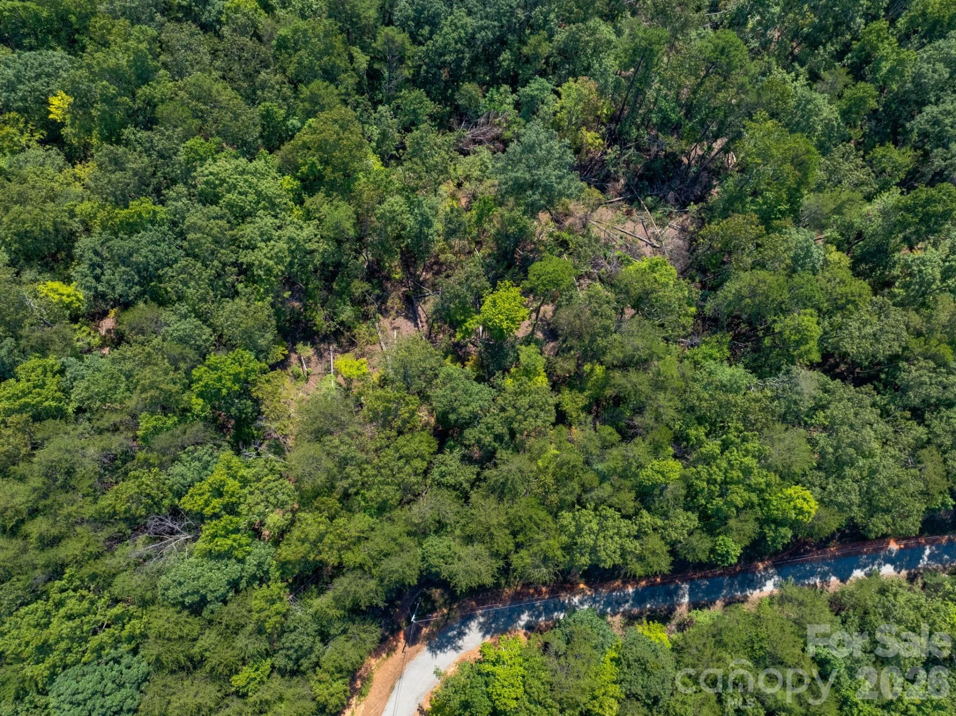 0 Calhoun Trail - Photo 11