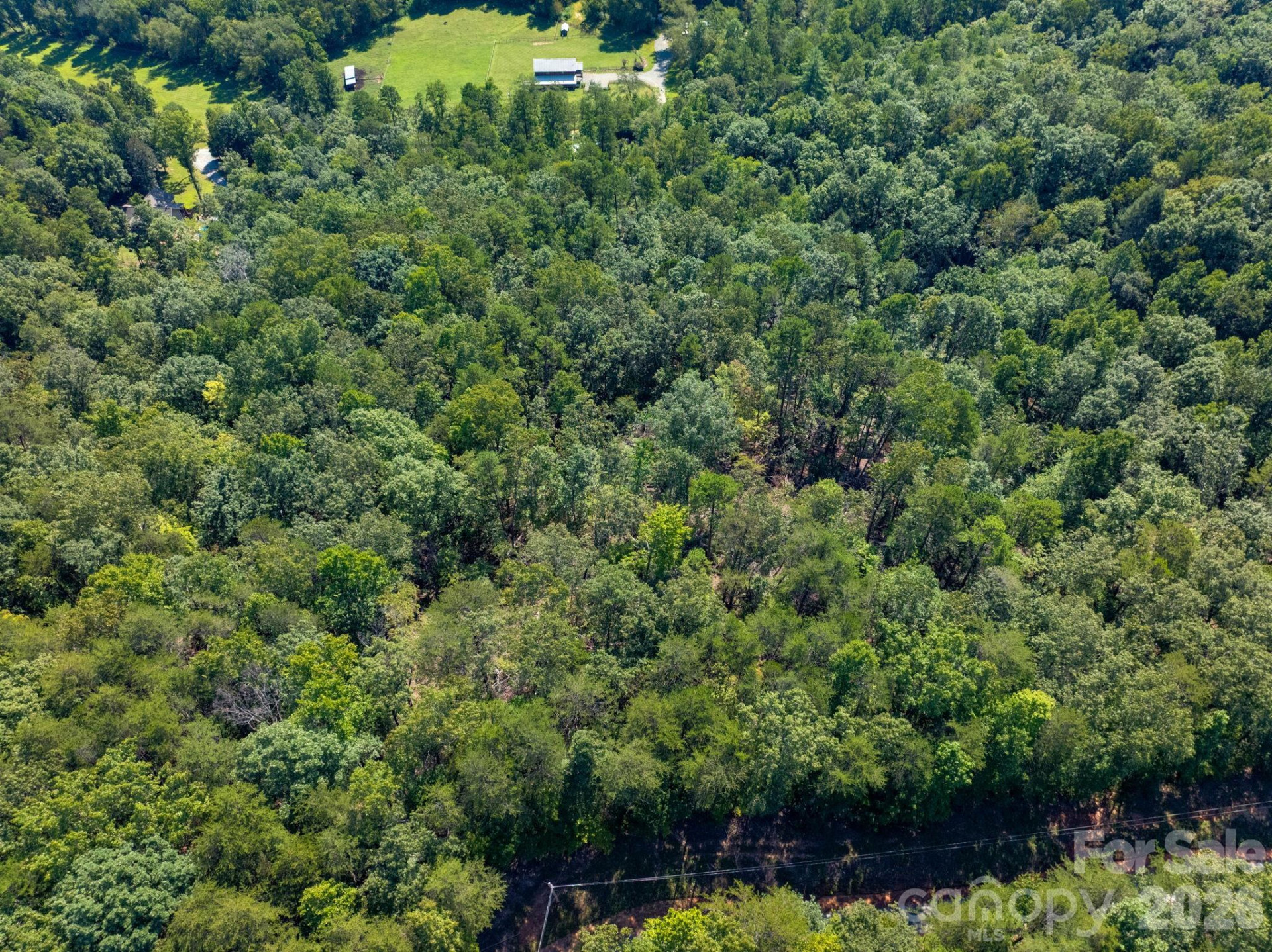 0 Calhoun Trail - Photo 12