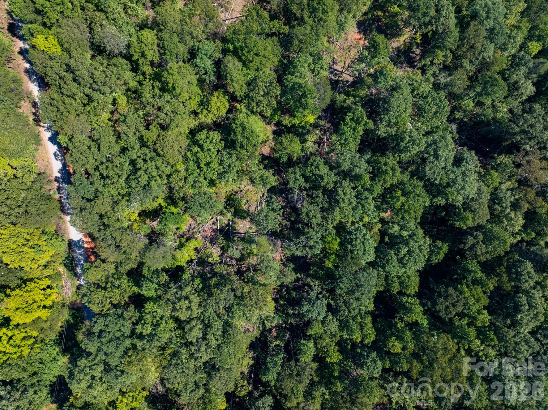 0 Calhoun Trail - Photo 15