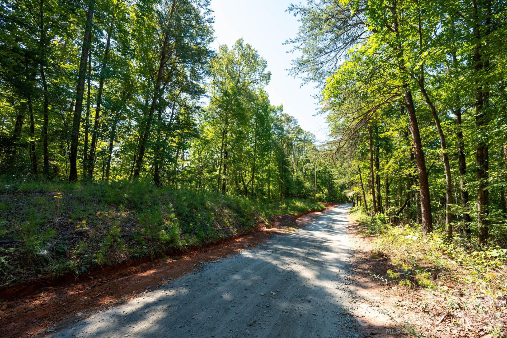 0 Calhoun Trail - Photo 16