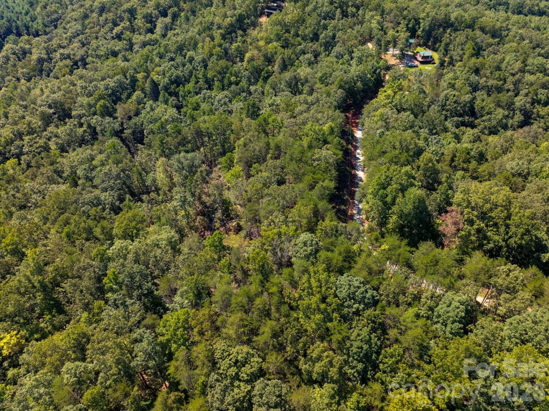 0 Calhoun Trail - Photo 3