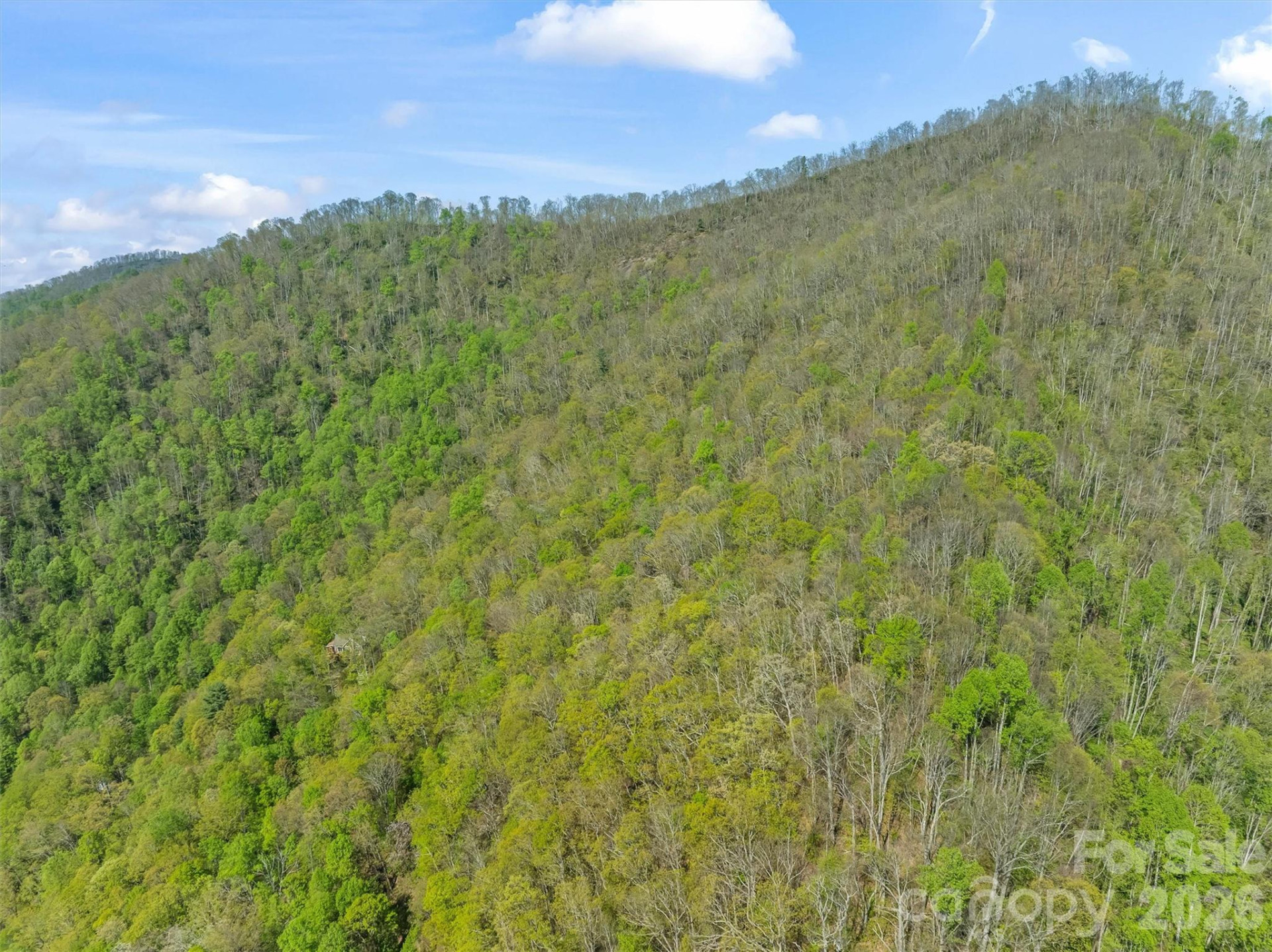 21 Reillys Bluff Road #1 - Photo 11