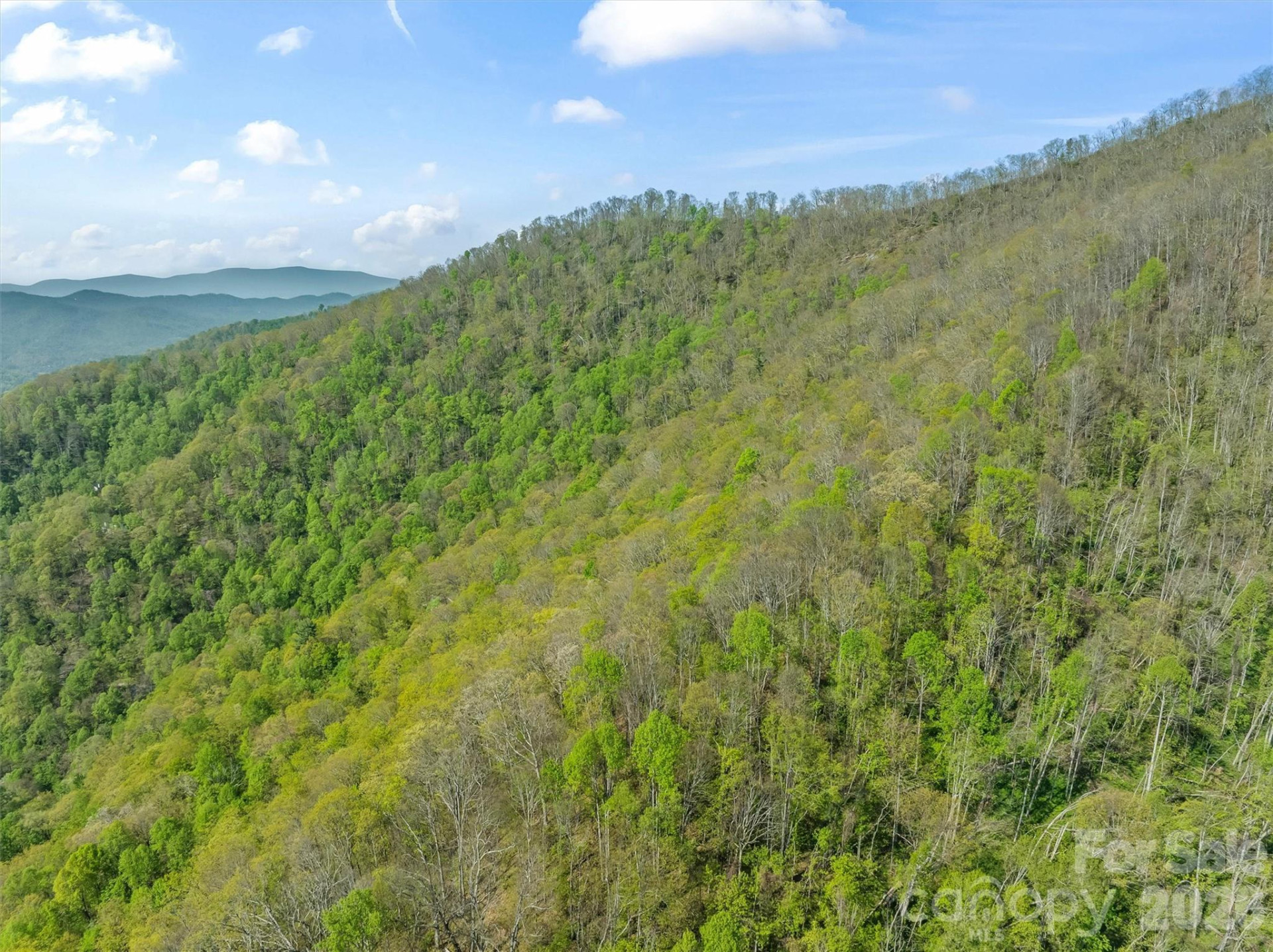 21 Reillys Bluff Road #1 - Photo 12