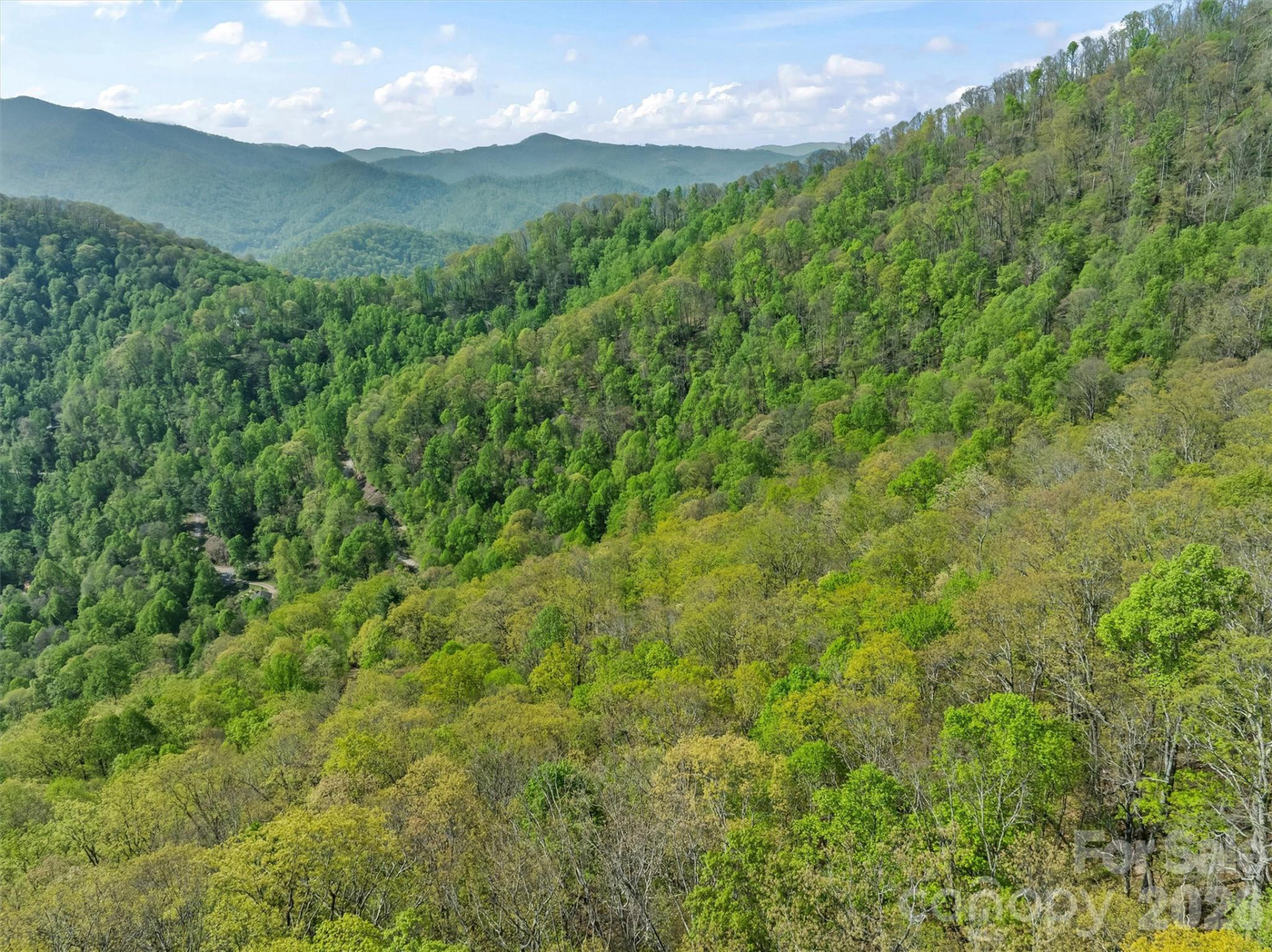 21 Reillys Bluff Road #1 - Photo 13