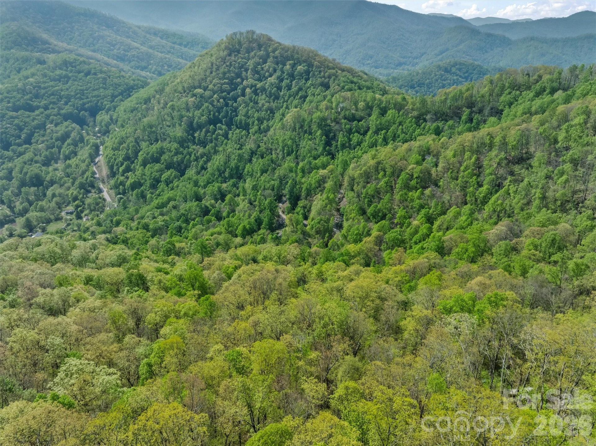 21 Reillys Bluff Road #1 - Photo 14