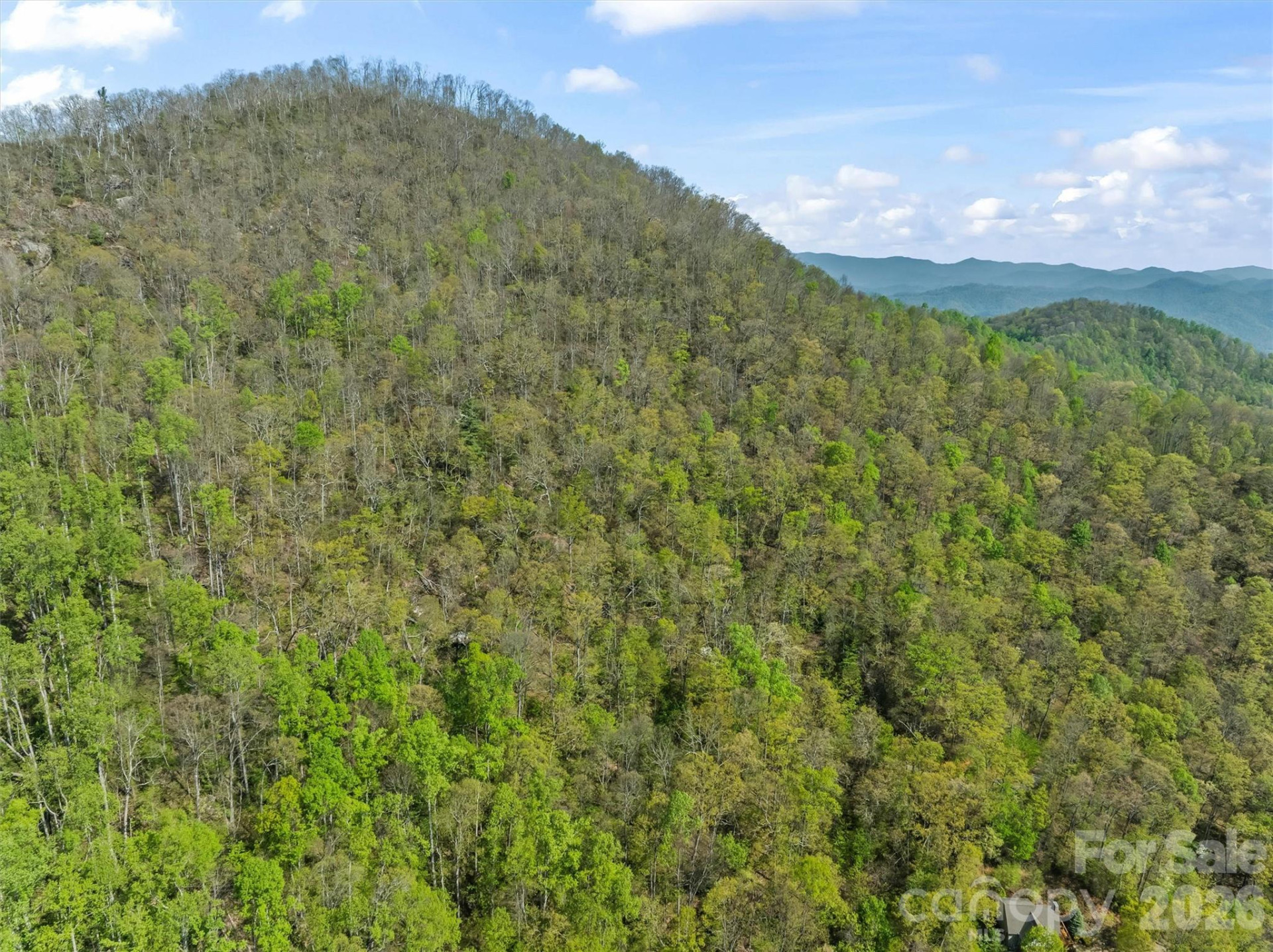 21 Reillys Bluff Road #1 - Photo 3