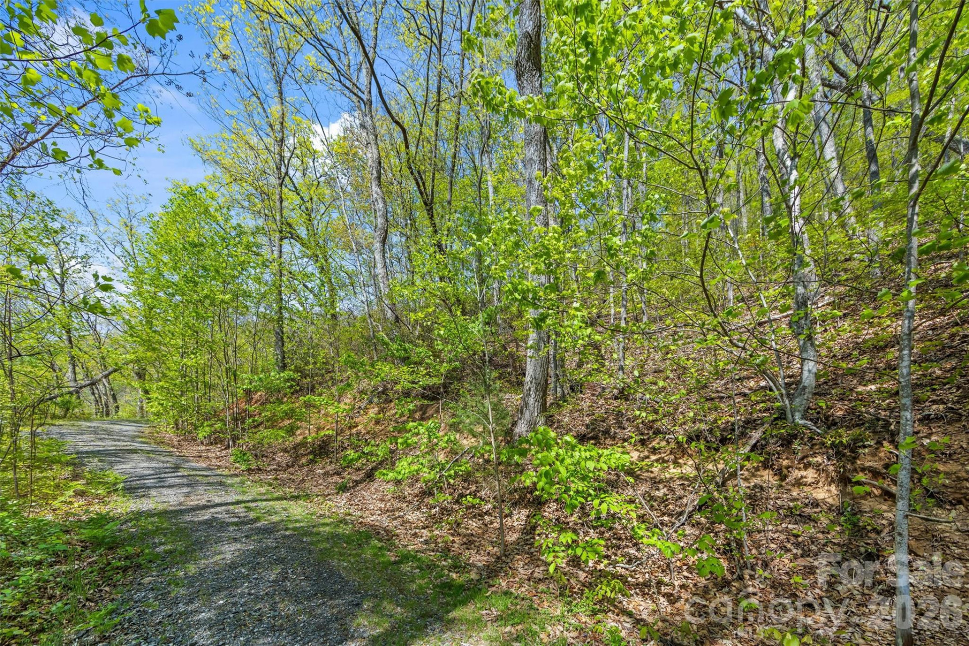 21 Reillys Bluff Road #1 - Photo 4