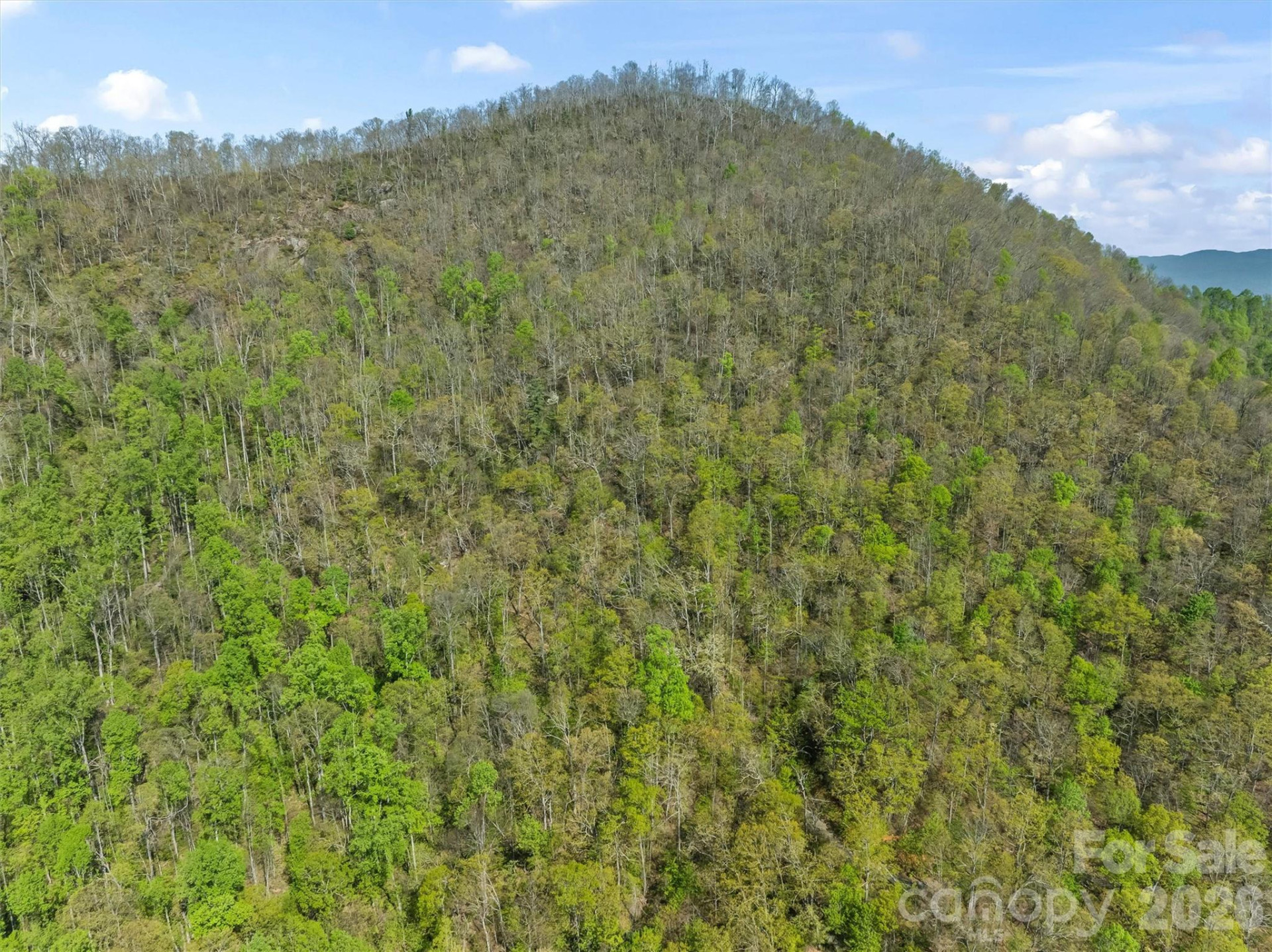 21 Reillys Bluff Road #1 - Photo 5