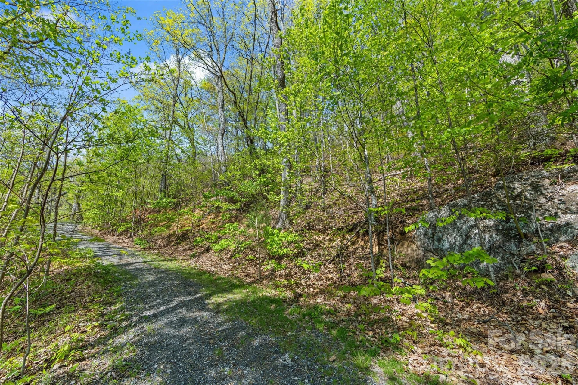 21 Reillys Bluff Road #1 - Photo 6
