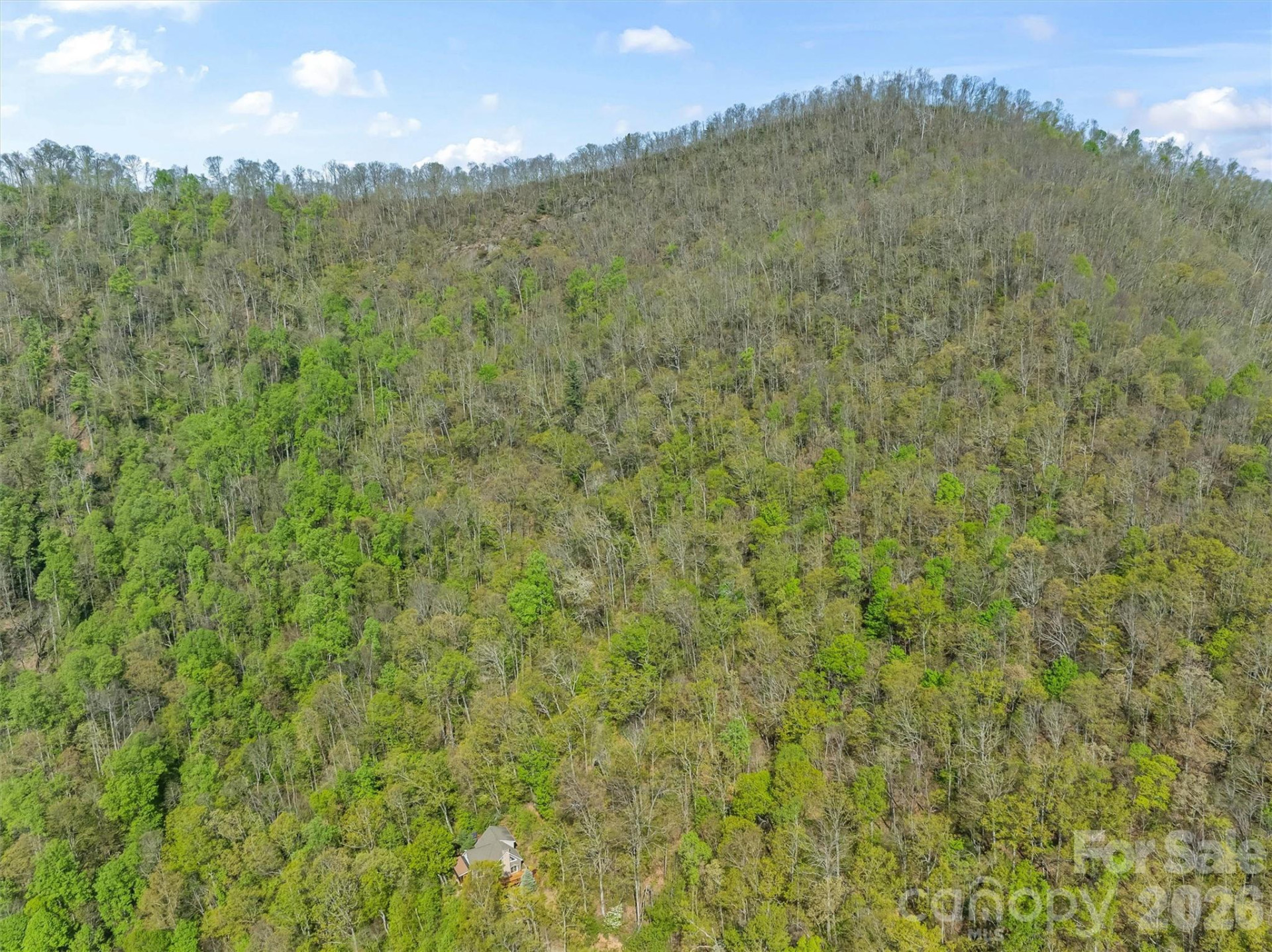 21 Reillys Bluff Road #1 - Photo 7