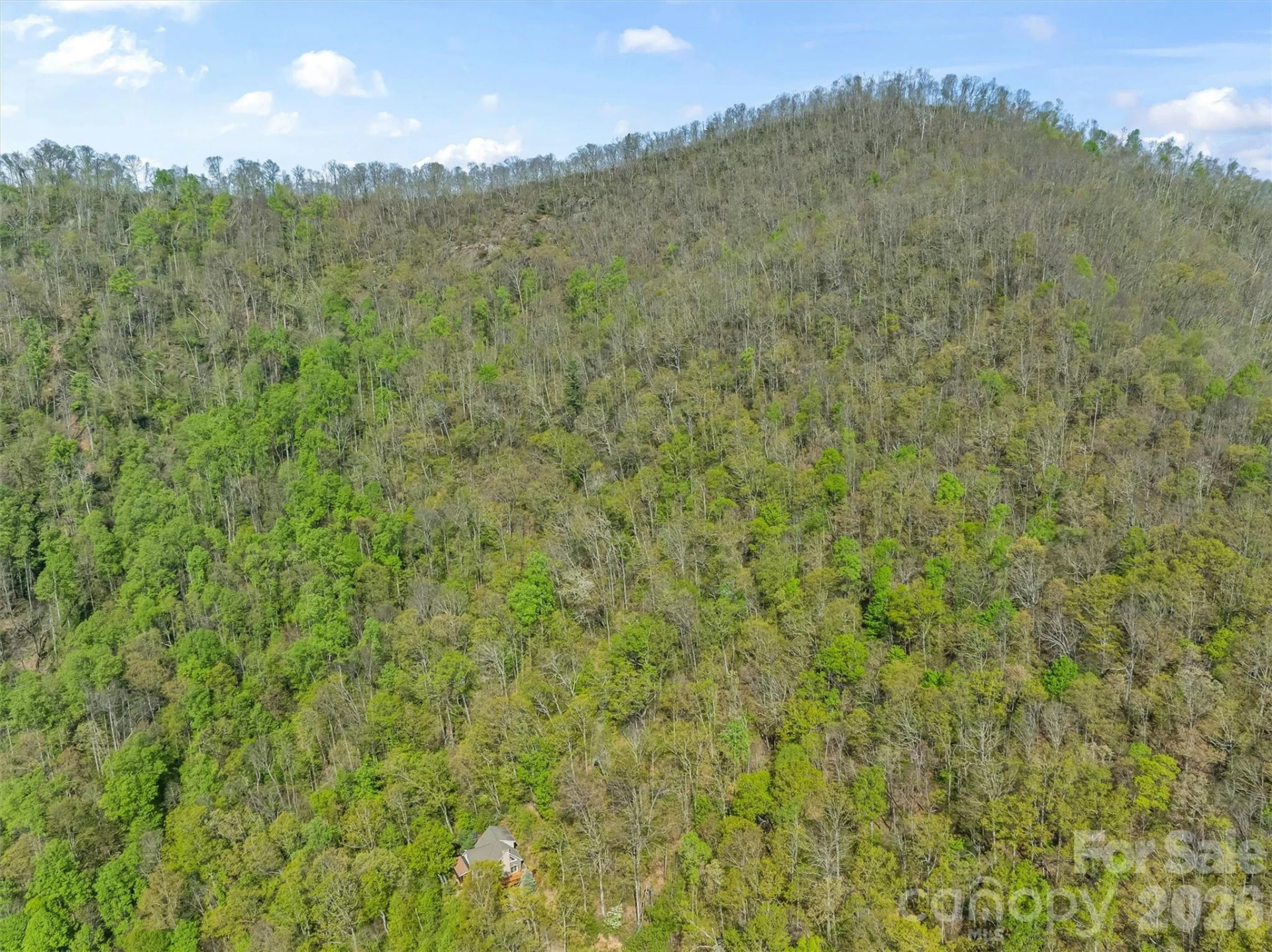 21 Reillys Bluff Road #1 - Photo 7