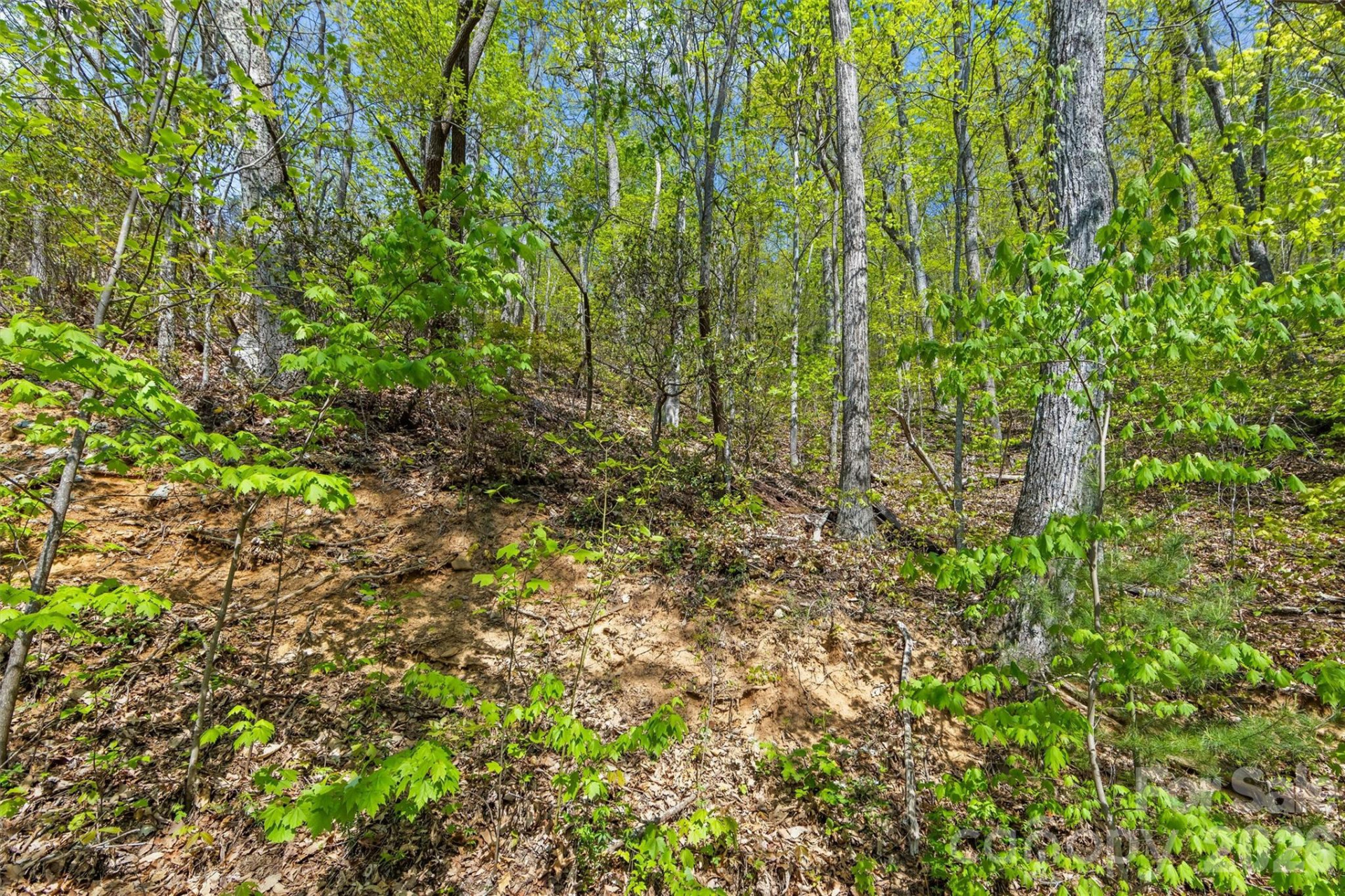 21 Reillys Bluff Road #1 - Photo 8