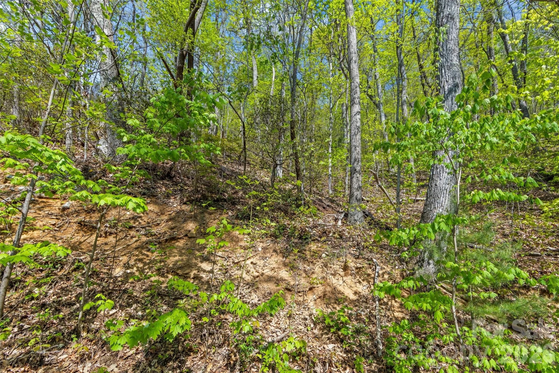 21 Reillys Bluff Road #1 - Photo 8