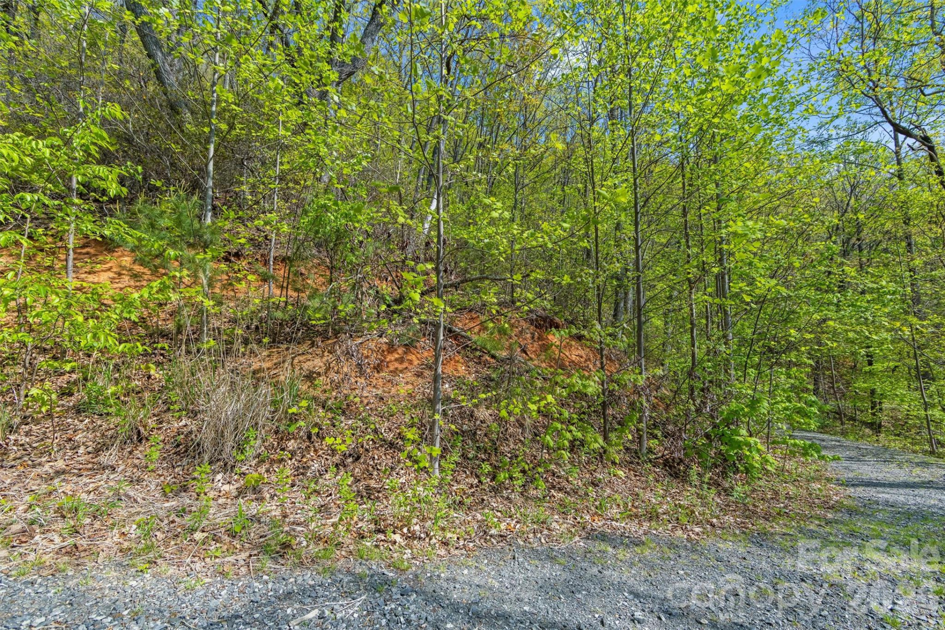 21 Reillys Bluff Road #1 - Photo 9