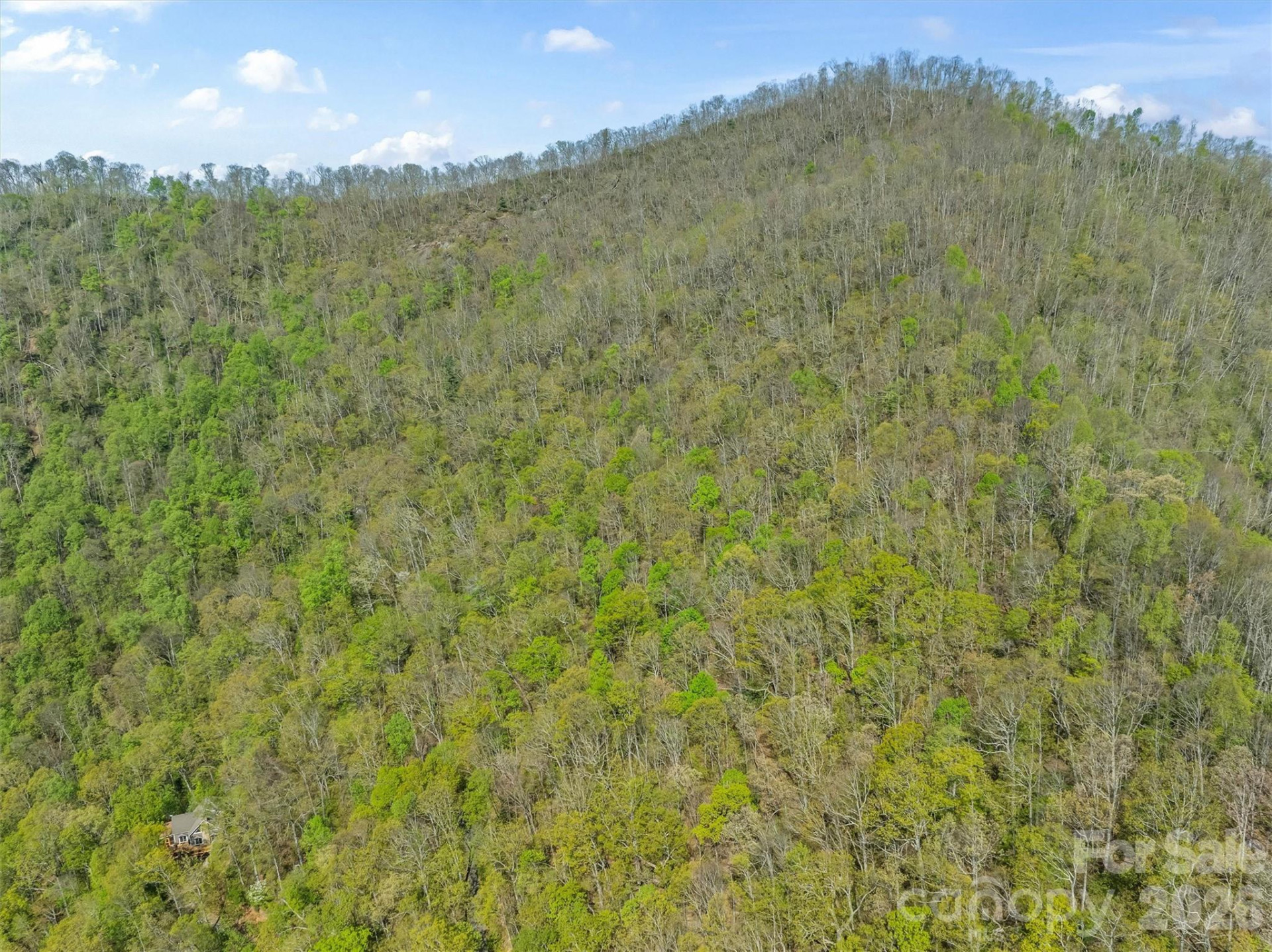 21 Reillys Bluff Road #1 - Photo 10