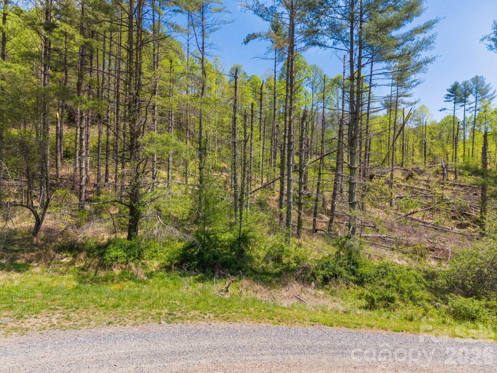 00000 White Pine Lane #19 - Photo 4