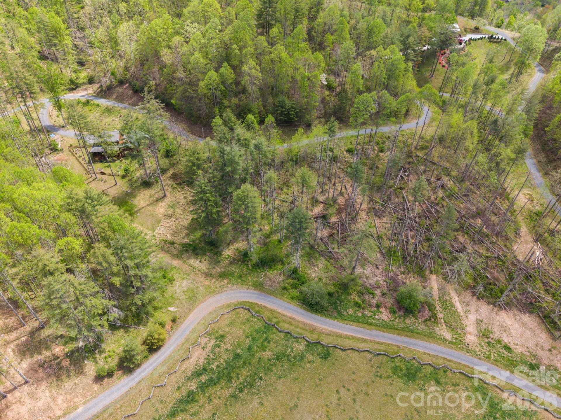 00000 White Pine Lane #19 - Photo 5