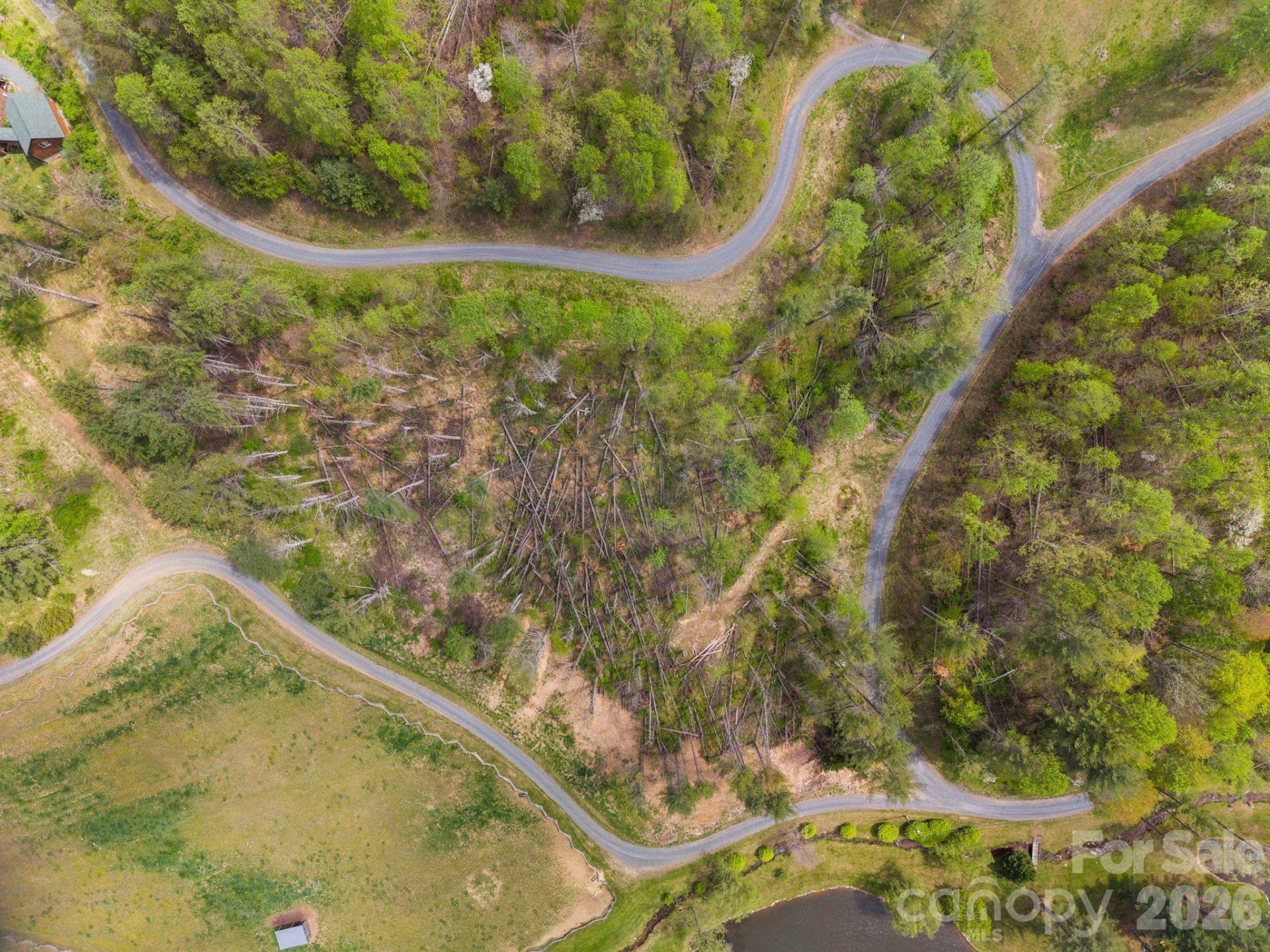 00000 White Pine Lane #19 - Photo 6