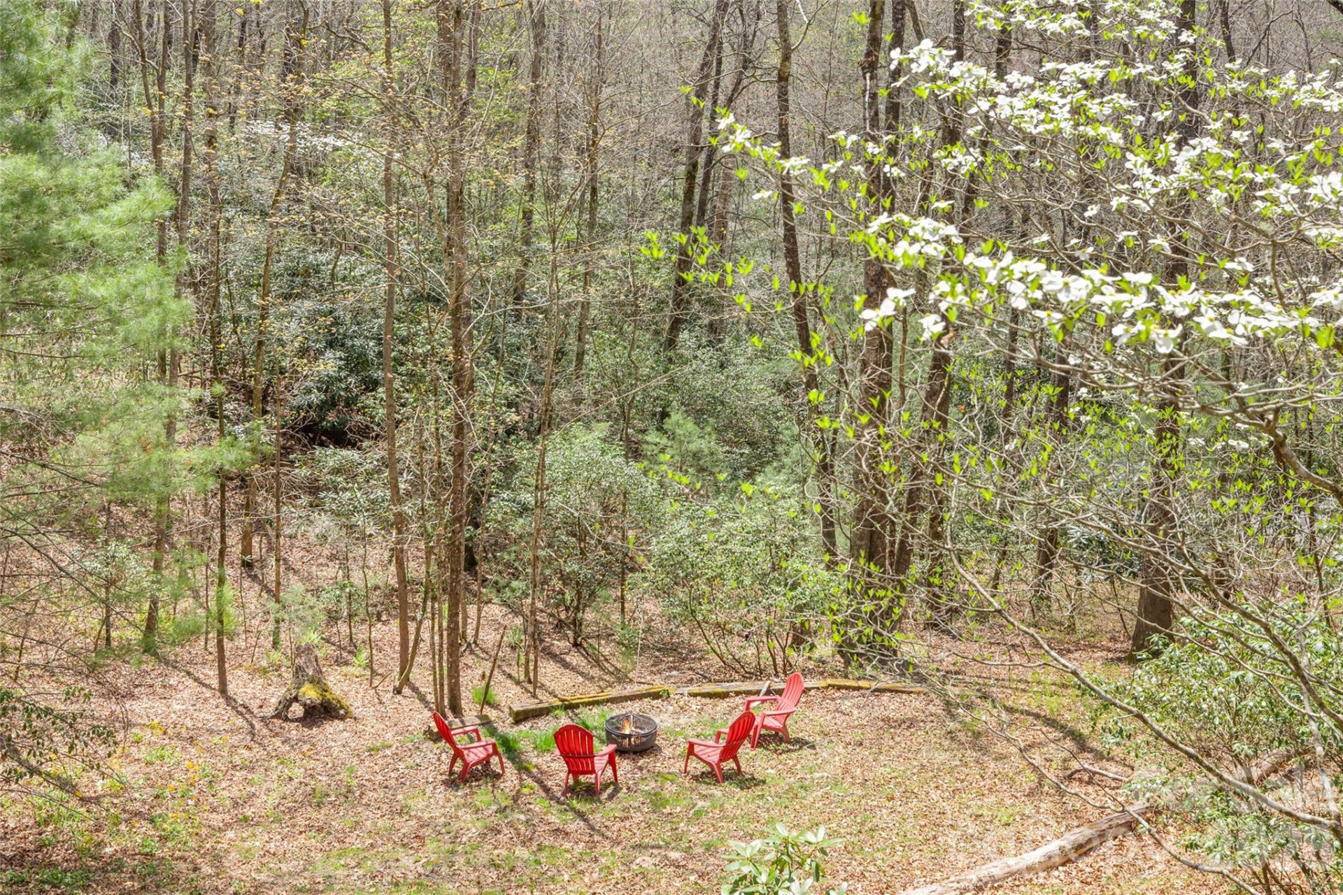 46 Poplar Court - Photo 24