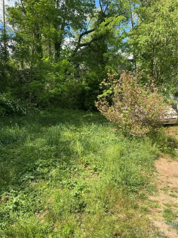 TBD Lilac Street, Asheville, NC, 28806