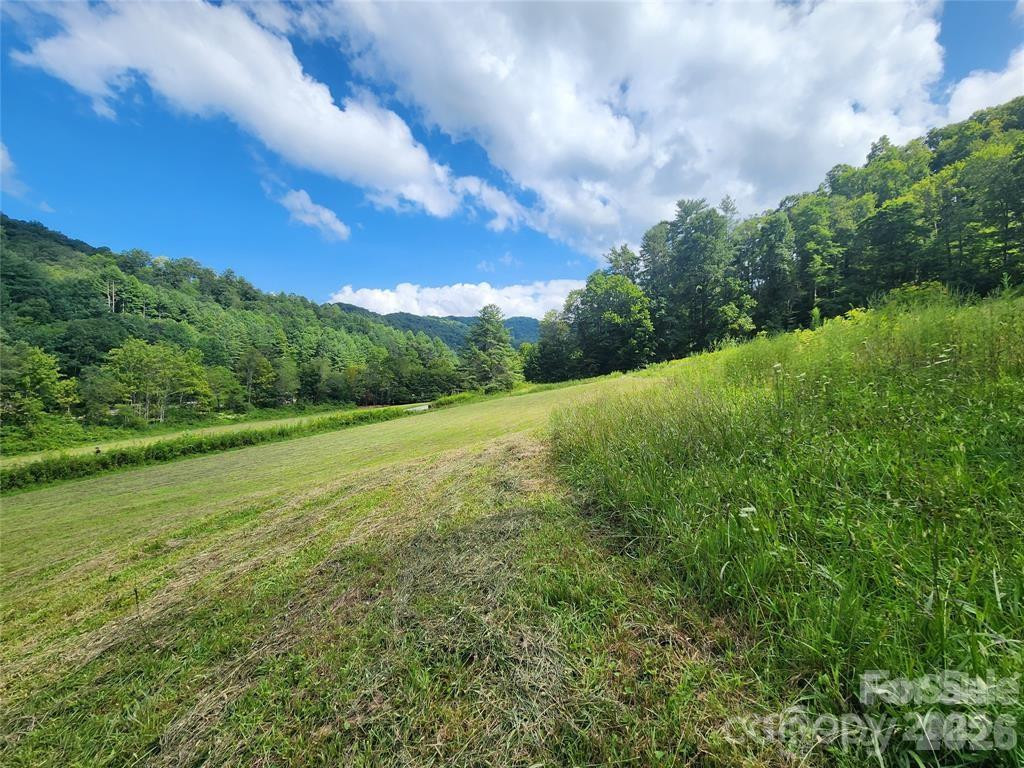 5570 Meadow Fork Road - Photo 2