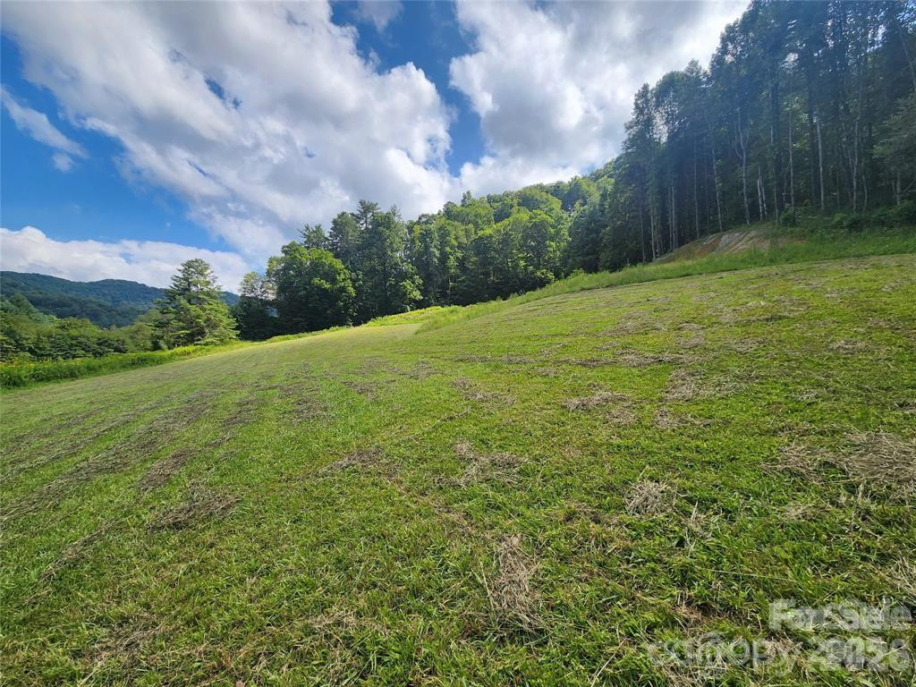 5570 Meadow Fork Road - Photo 11