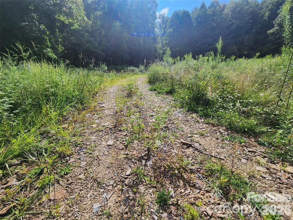 5570 Meadow Fork Road - Photo 12