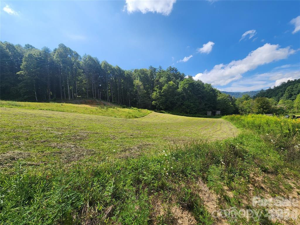 5570 Meadow Fork Road - Photo 4