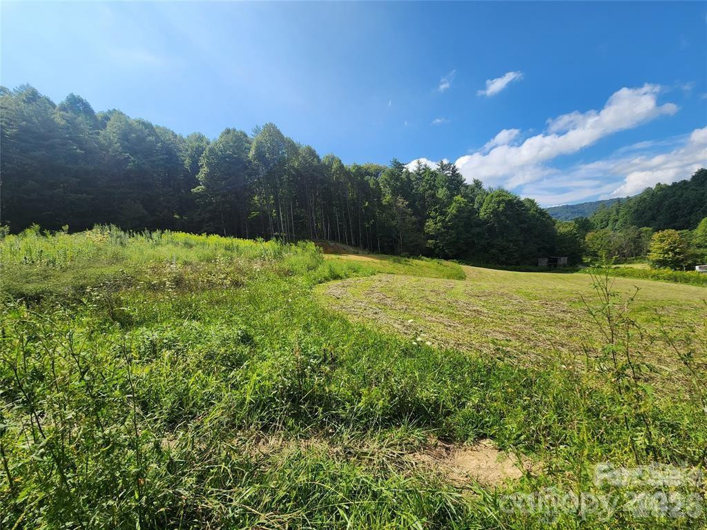 5570 Meadow Fork Road - Photo 5