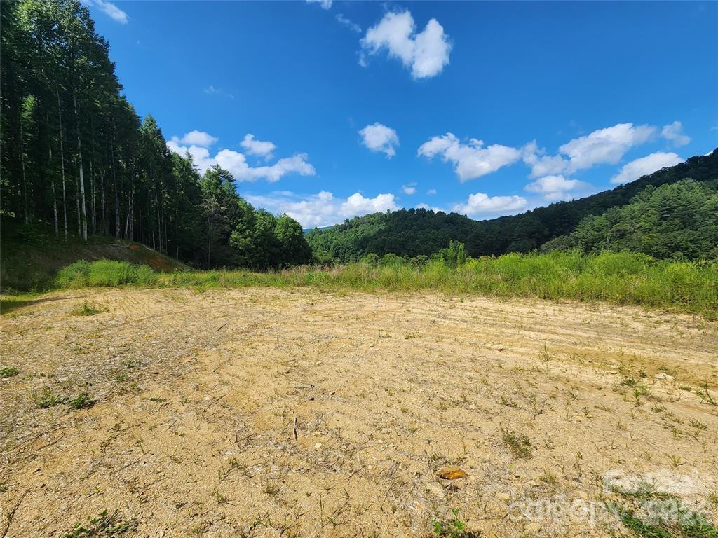 5570 Meadow Fork Road - Photo 7