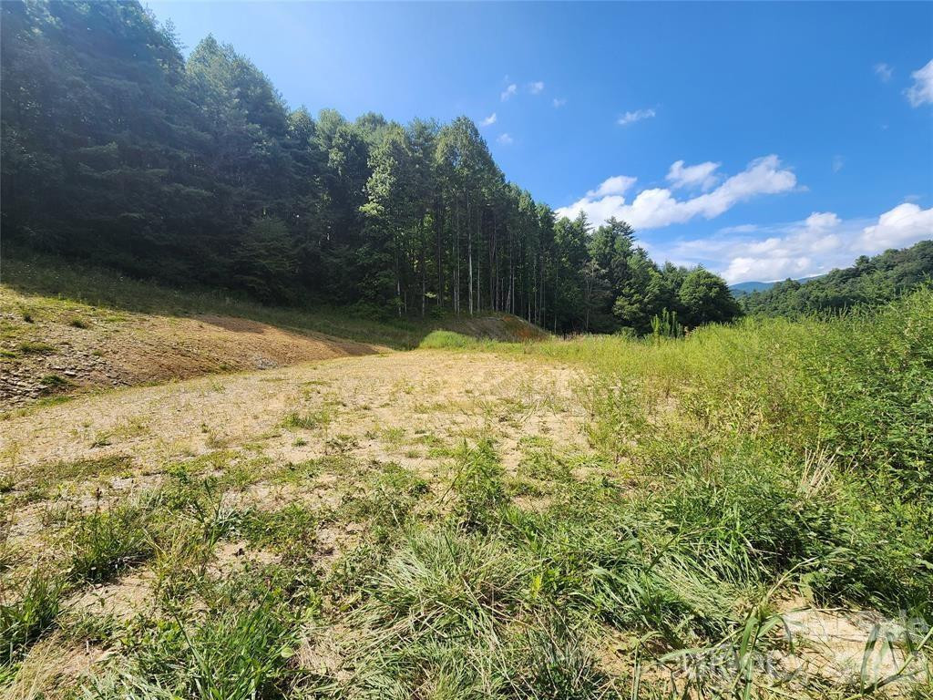 5570 Meadow Fork Road - Photo 8