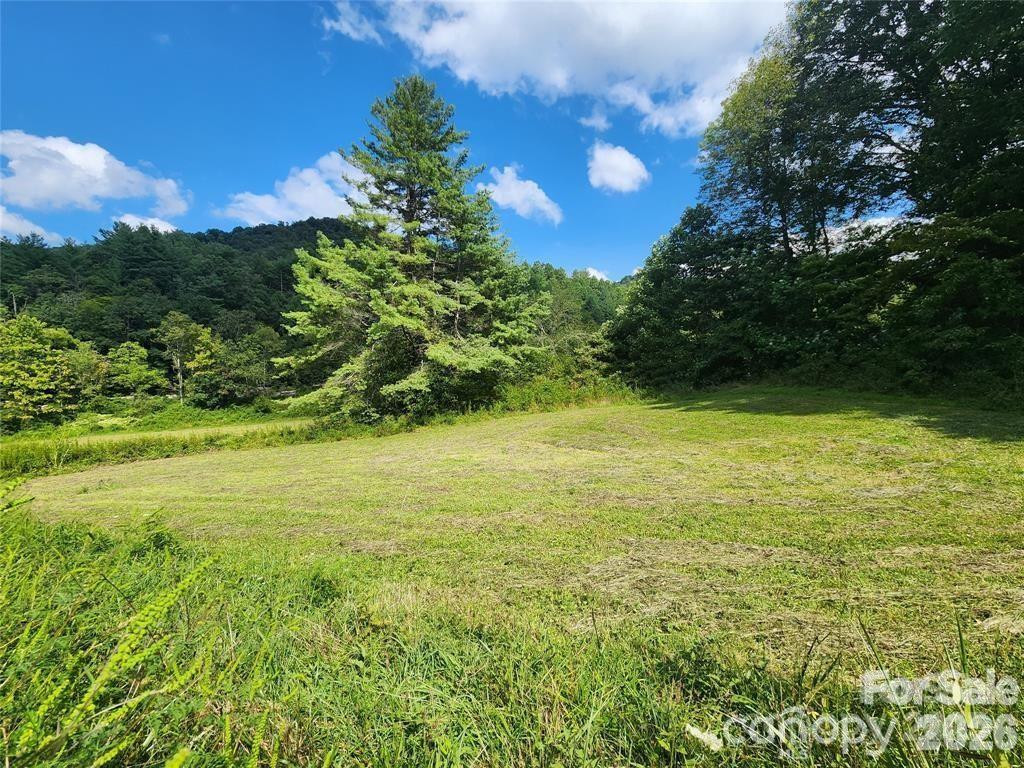 5570 Meadow Fork Road - Photo 10