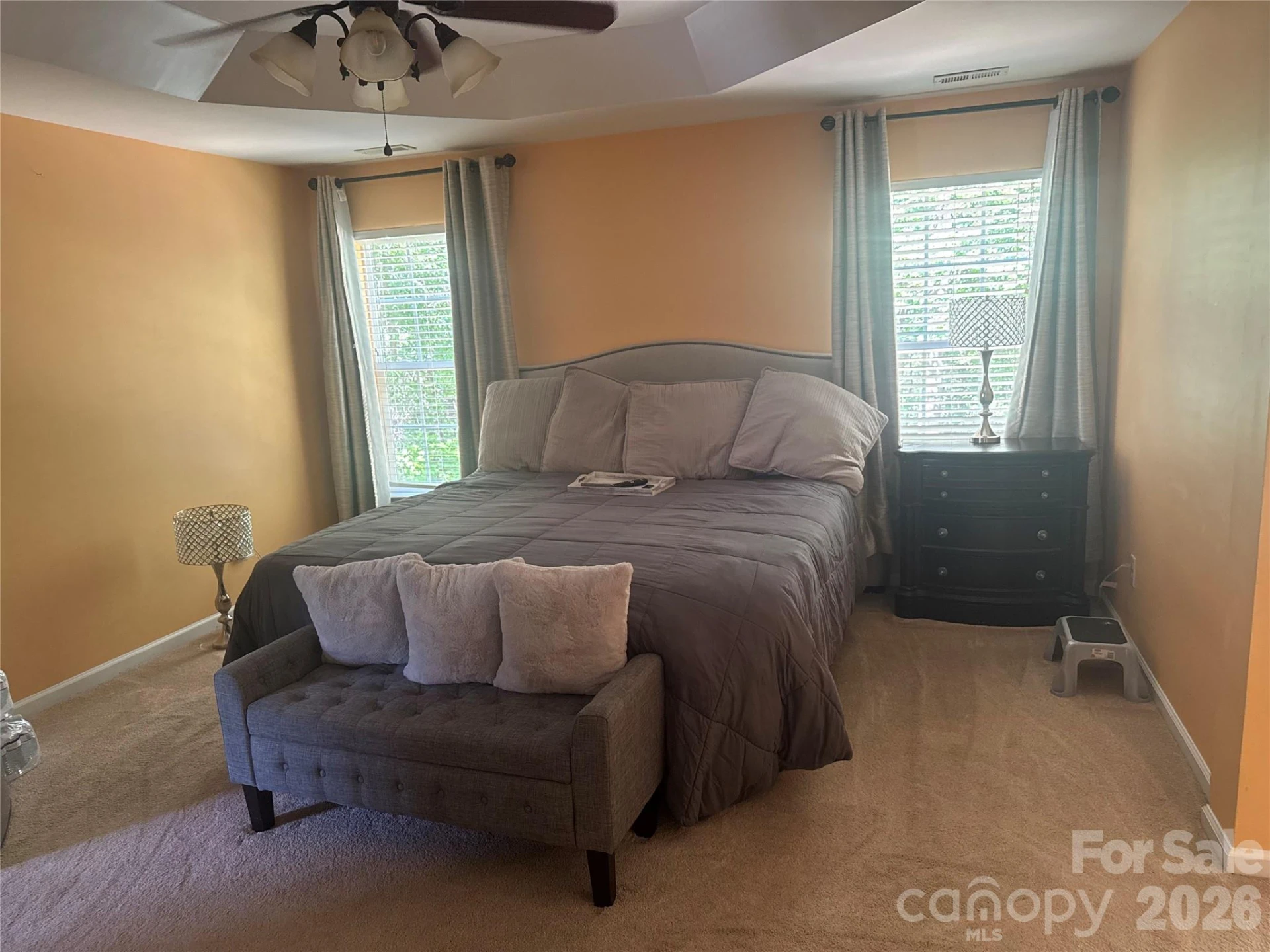 11444 Mangla Drive - Photo 5