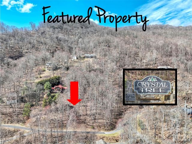 TBD Chipmunk Circle, Waynesville, NC, 28785