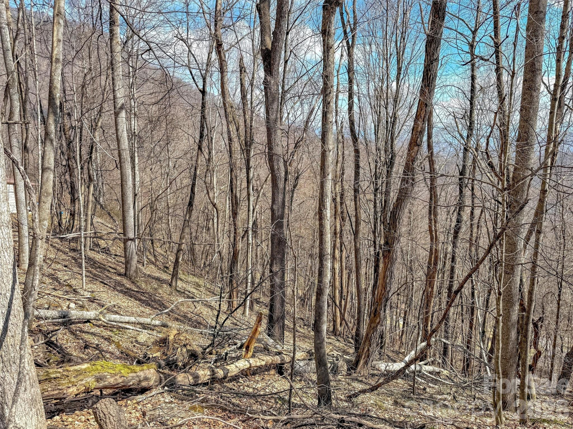 TBD Chipmunk Circle #27 - Photo 11