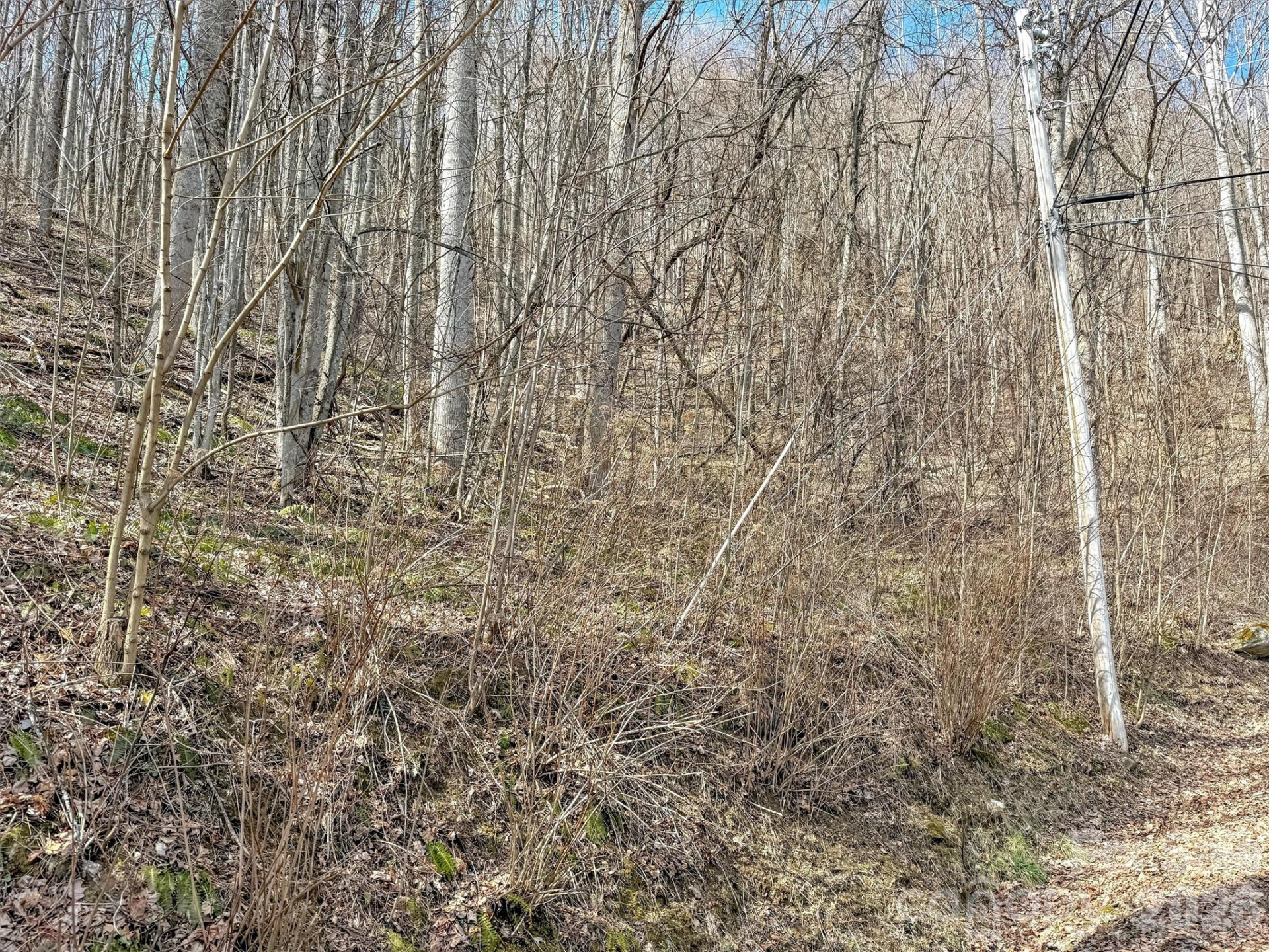 TBD Chipmunk Circle #27 - Photo 13